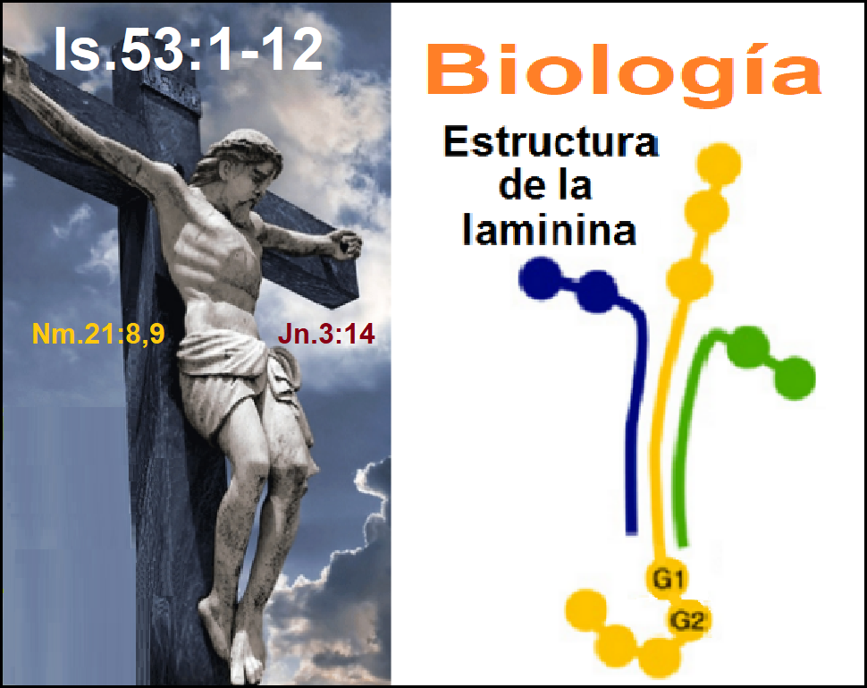 Imperio mundial de la profecia