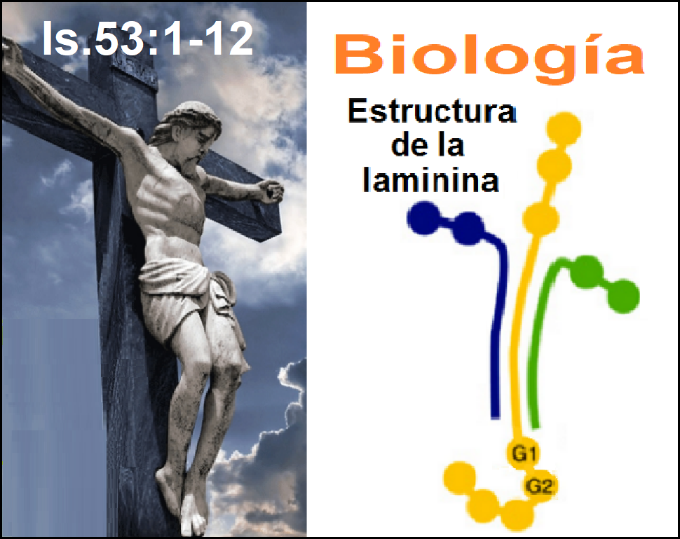 Imperio mundial de la profecia